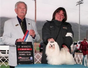 Chaparral Kennel Club - Winner