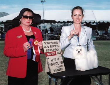 Scottsdale Dog Fanciers Association -March 2009 Winner