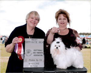 2010 Winners Bitch