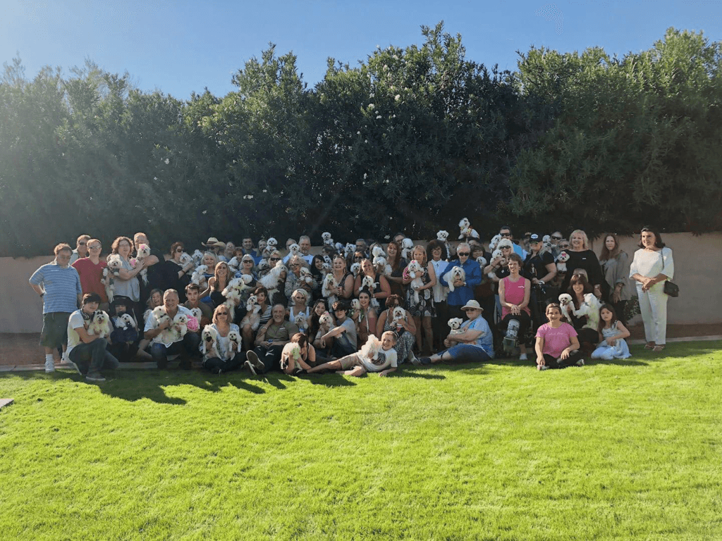 Chinadoll Reunion 2018